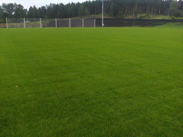 Семена газонной травы — фото 2